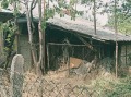 Продава КЪЩА, с. Црънча, област Пазарджик, снимка 16