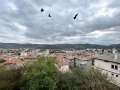 Продава 3-СТАЕН, град Велико Търново, Акация • 142000 € • 82015011 — Holmes.bg