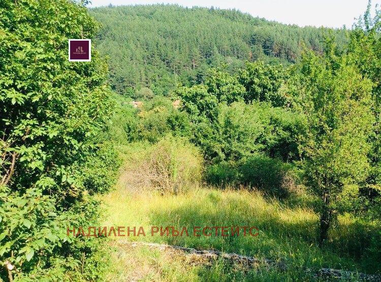 ������� ������ | Imot.bg � ����������� 1