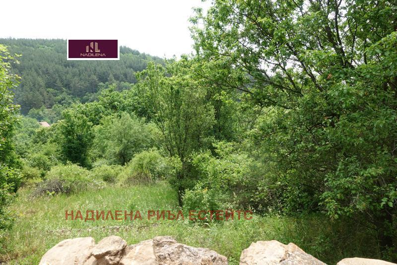 ������� ������ | Imot.bg � ����������� 15