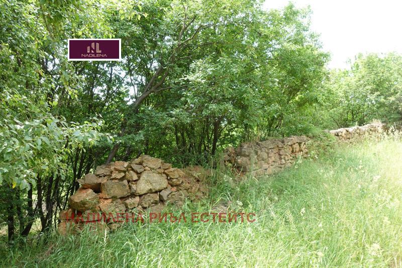 ������� ������ | Imot.bg � ����������� 14