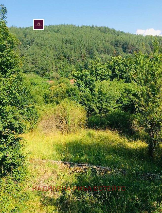 ������� ������ | Imot.bg � ����������� 2