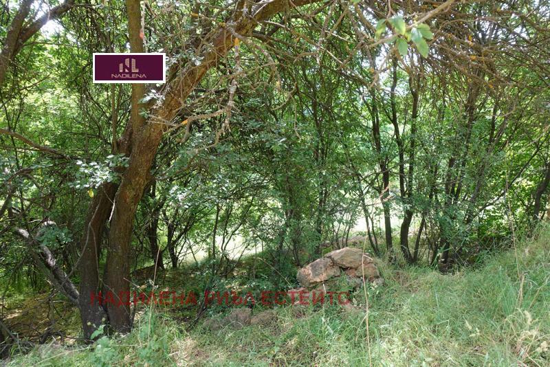 ������� ������ | Imot.bg � ����������� 13