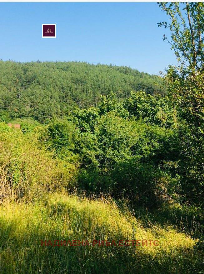 ������� ������ | Imot.bg � ����������� 4