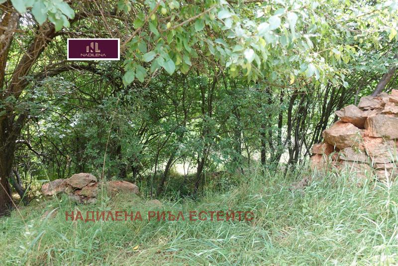 ������� ������ | Imot.bg � ����������� 11