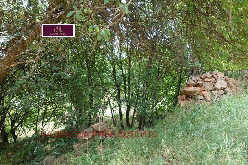 ������� ������ | Imot.bg � ����������� 12