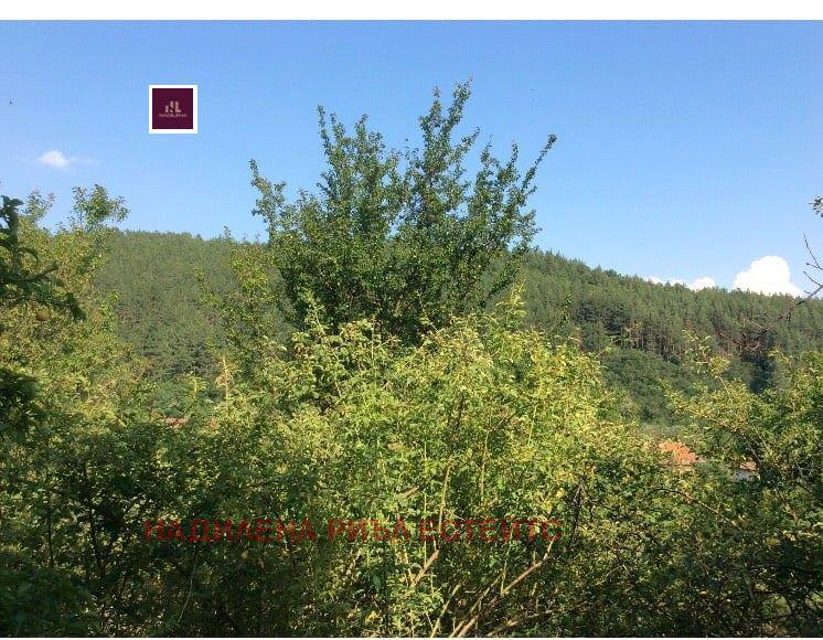 ������� ������ | Imot.bg � ����������� 5