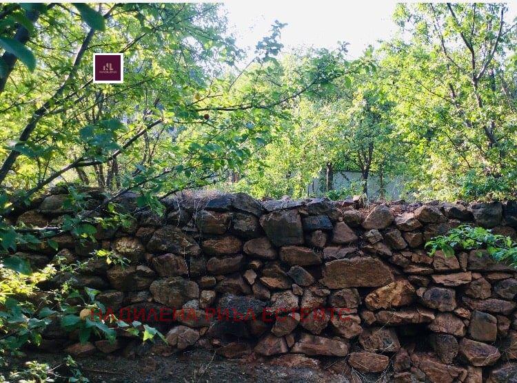 ������� ������ | Imot.bg � ����������� 7