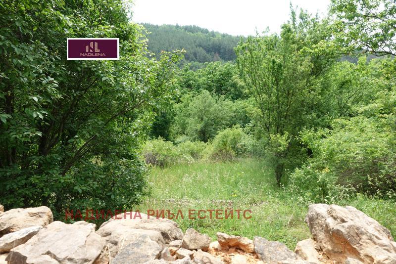 ������� ������ | Imot.bg � ����������� 16