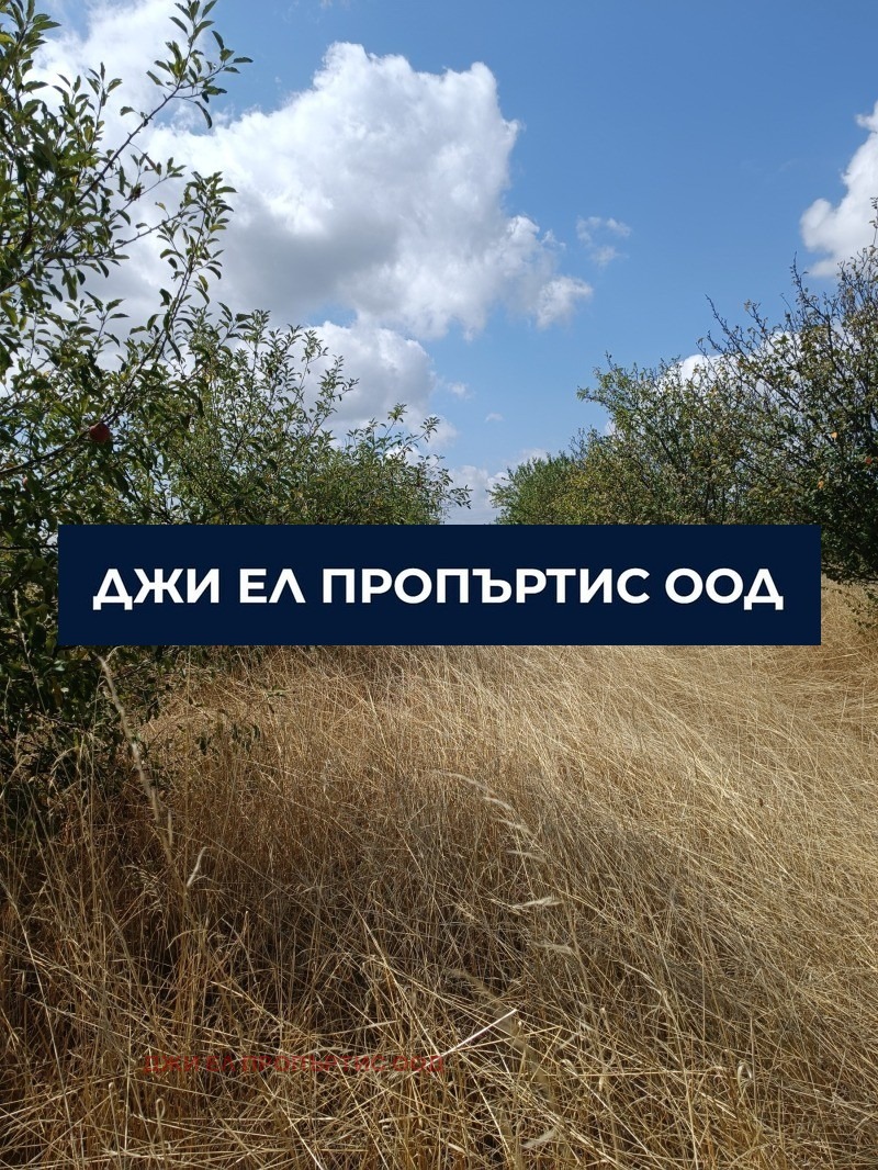 ������� ������ | Imot.bg � ����������� 6