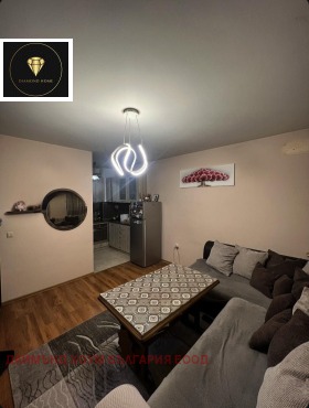 ����� ������� 2-�����,���� �������, ������ ����������