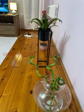 ������� 3-����� | Imot.bg � ����� ������ 7