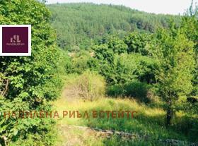Продажба на имоти в с. Осоица, област София - изображение 6 