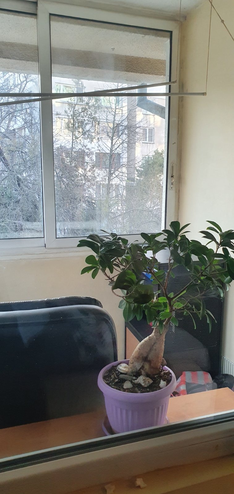 Продава 3-СТАЕН, гр. София, Стрелбище