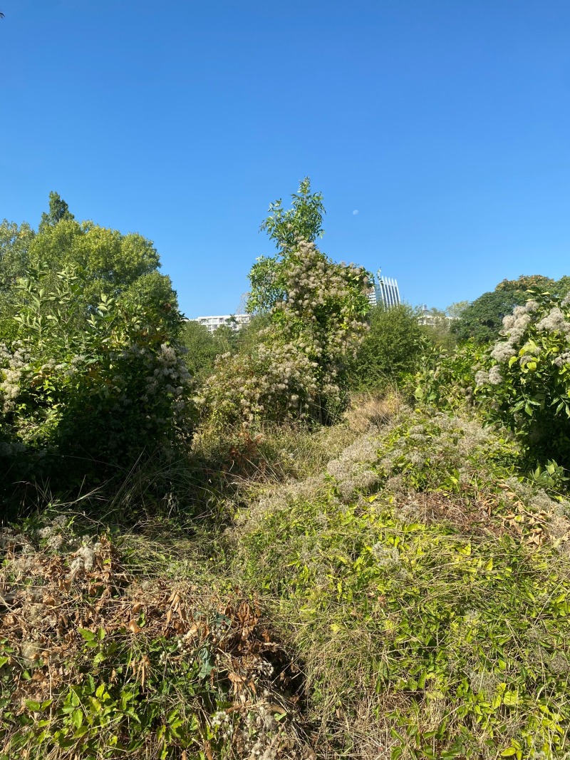 Te koop  Verhaallijn Sofia , Druzjba 2 , 3001 m² | 63378719 - afbeelding [3]
