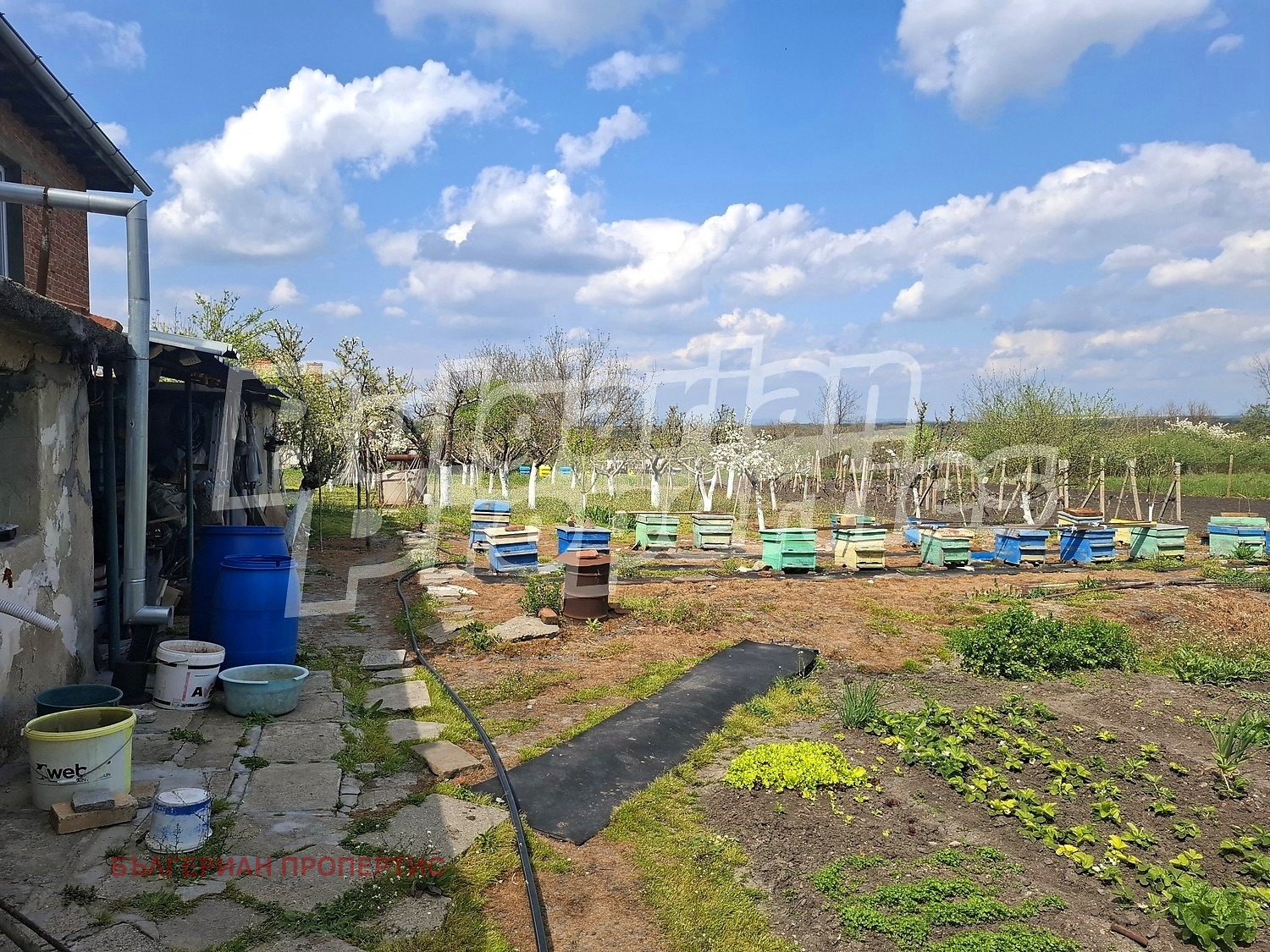 Продава КЪЩА, с. Трънково, област Ямбол, снимка 4 - Къщи - 54354494