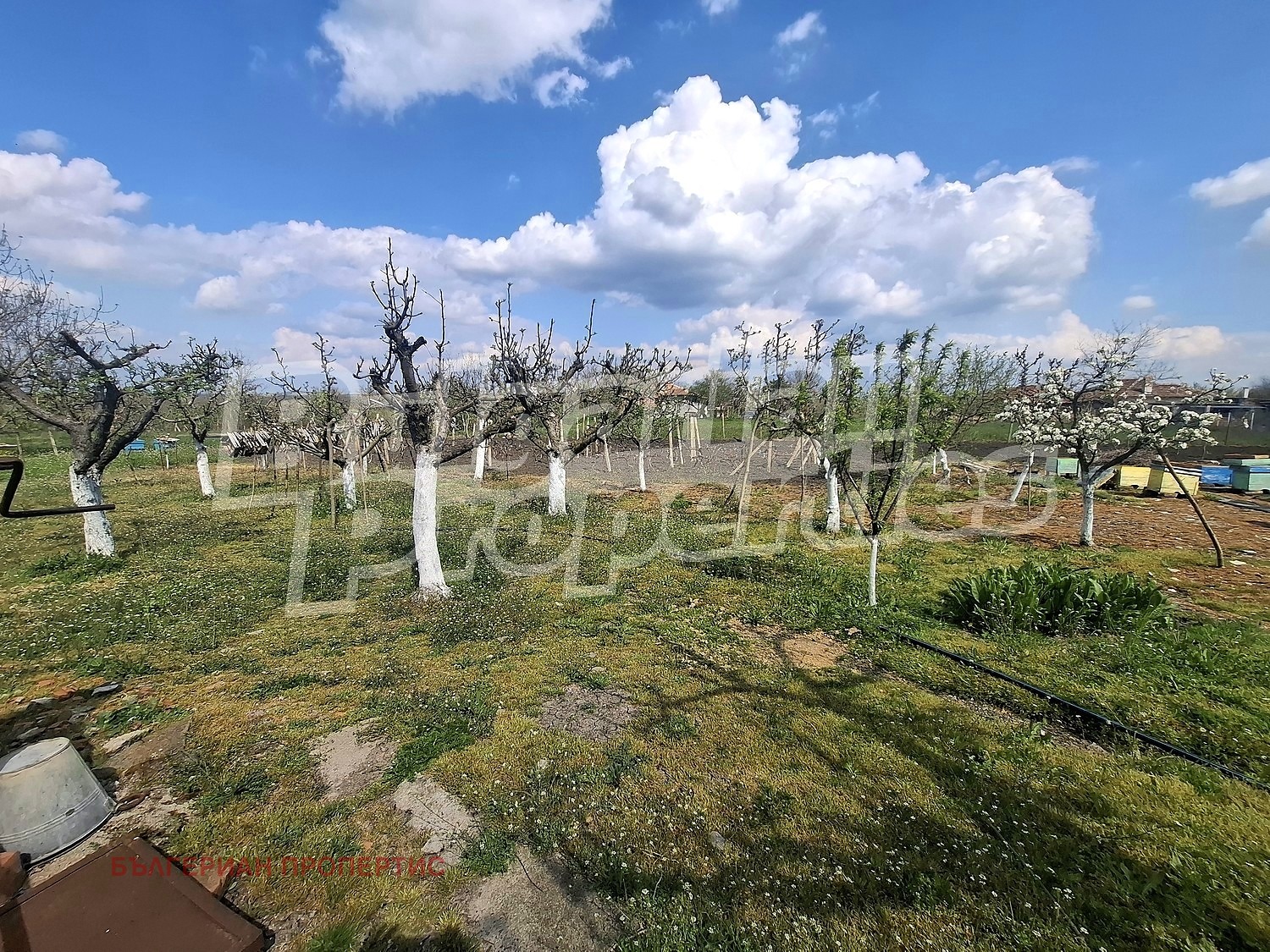 Продава КЪЩА, с. Трънково, област Ямбол, снимка 5 - Къщи - 54354494