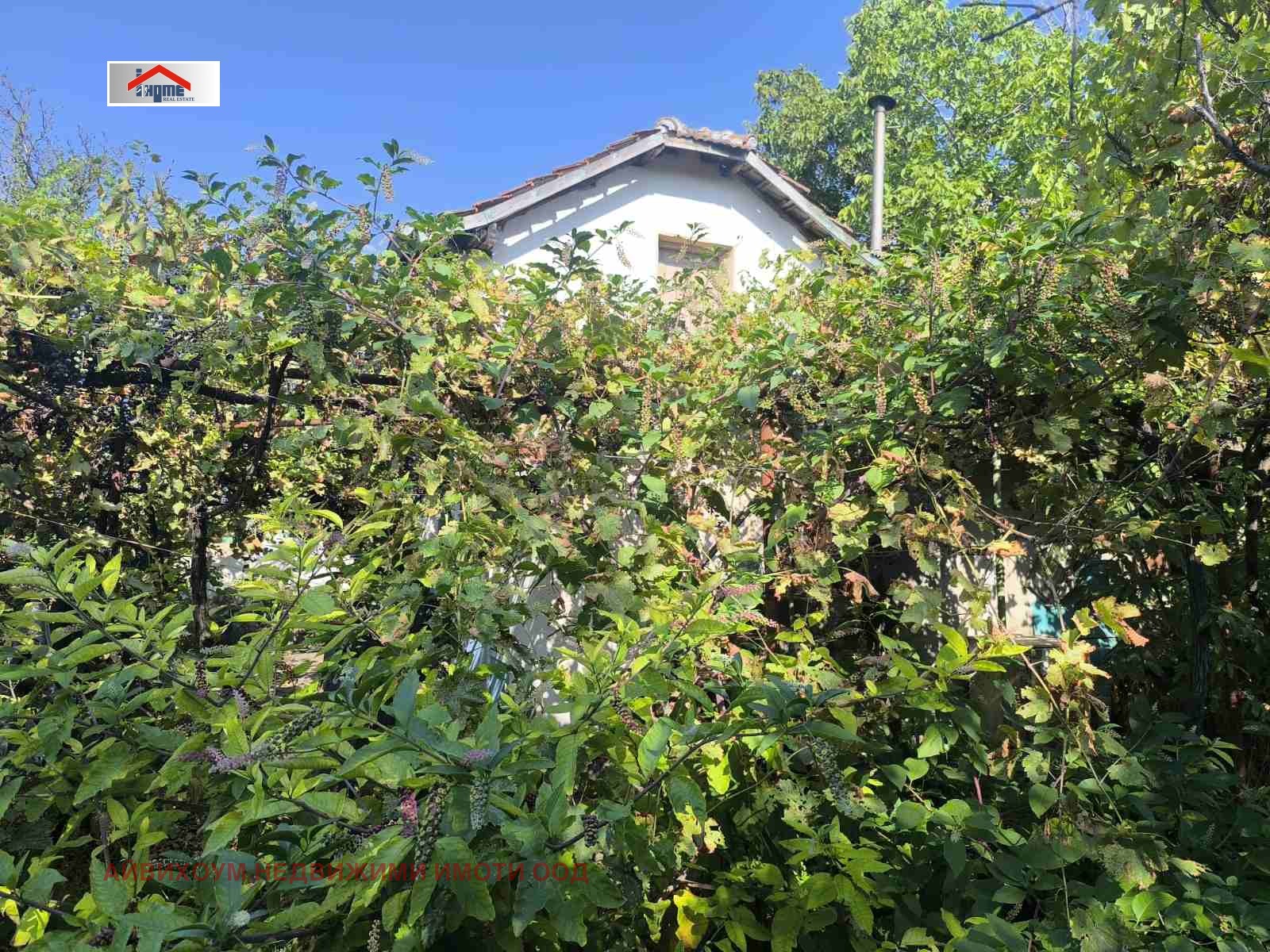 Продава КЪЩА, гр. Тръстеник, област Плевен, снимка 5 - Къщи - 55687695