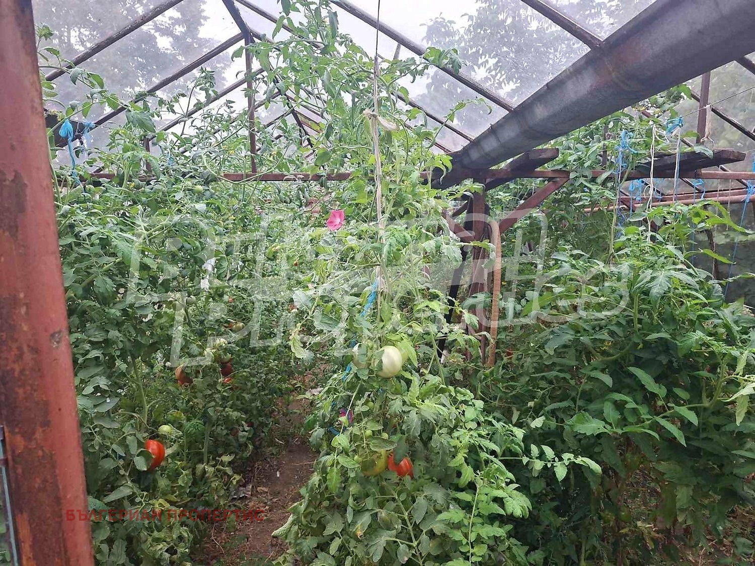 Продава КЪЩА, с. Дибич, област Шумен, снимка 4 - Къщи - 56611483
