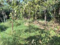 Продава КЪЩА, гр. Тръстеник, област Плевен, снимка 3