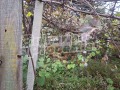 Продава КЪЩА, с. Дибич, област Шумен, снимка 3