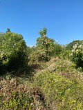 Продава ПАРЦЕЛ, град София, Дружба 2 • 3100000 € • 82069719 — Holmes.bg