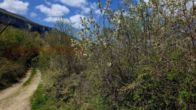 ������� ������ | Imot.bg � ����� ������ 5