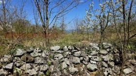 ������� ������ | Imot.bg � ����� ������ 6