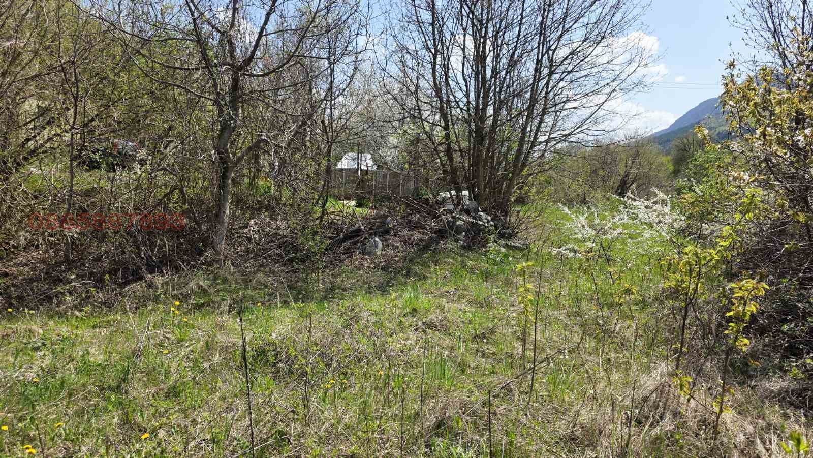Продава ПАРЦЕЛ, с. Паволче, област Враца, снимка 8 - Парцели - 54331374