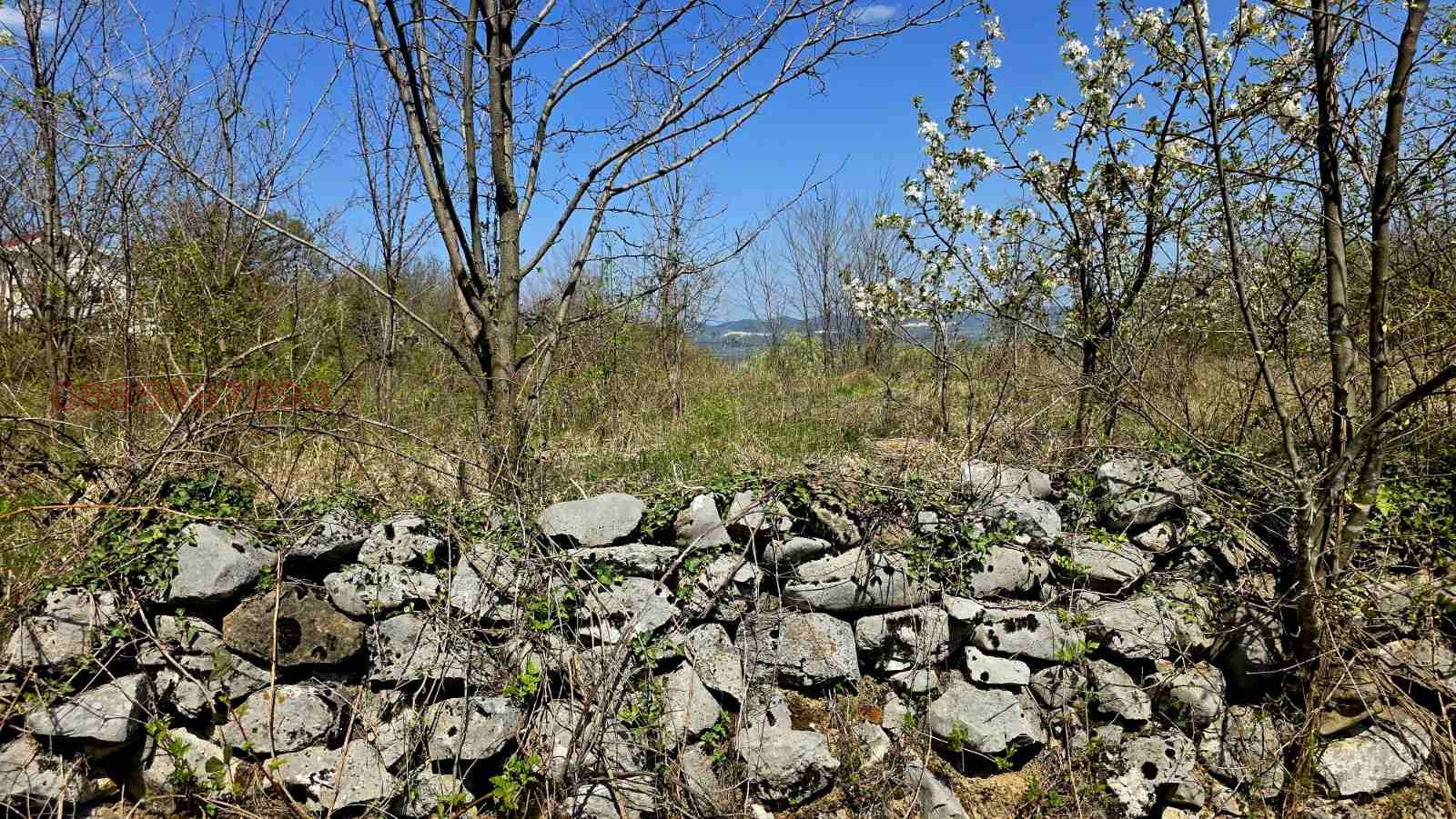 Продава ПАРЦЕЛ, с. Паволче, област Враца, снимка 6 - Парцели - 54331374