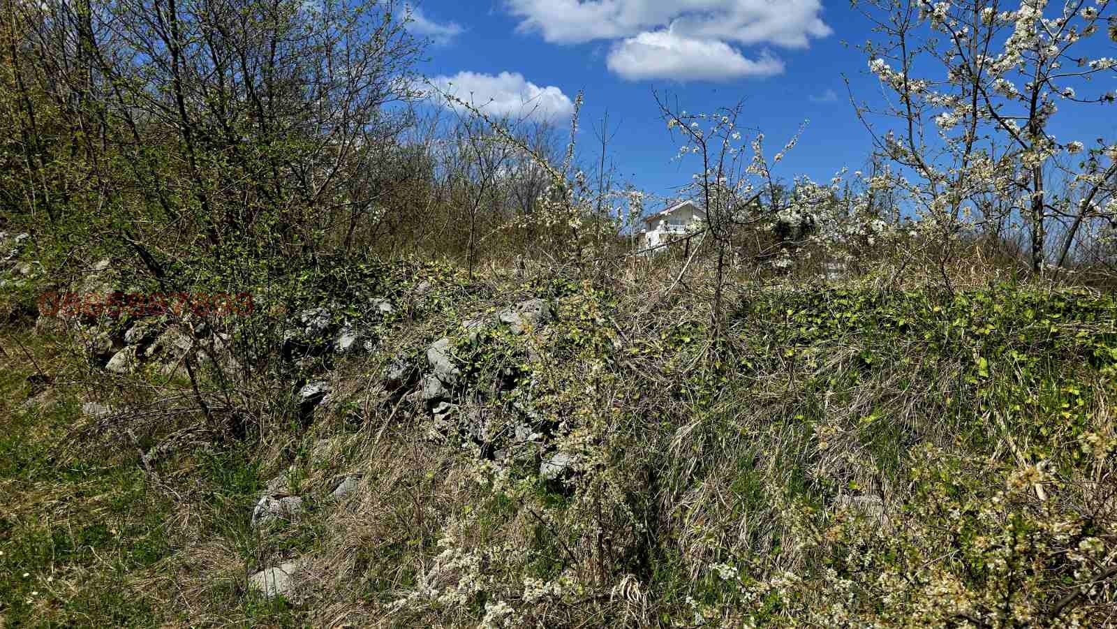 Продава ПАРЦЕЛ, с. Паволче, област Враца, снимка 4 - Парцели - 54331374