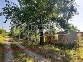 Продажба на имоти в с. Кавлак, област Велико Търново - изображение 5 