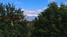 ����� ������� ���������� ����,�. ������, ������ �����������