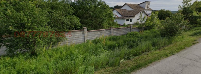 Продава  Парцел област Разград , с. Благоево , 5600 кв.м | 99985204