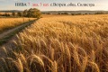 Продава ЗЕМЕДЕЛСКА ЗЕМЯ, с. Ветрен, област Силистра, снимка 1