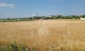 Продава ПАРЦЕЛ, Гърция, Халкидики • 150000 € / 293374.50 лв. • 52485558 2