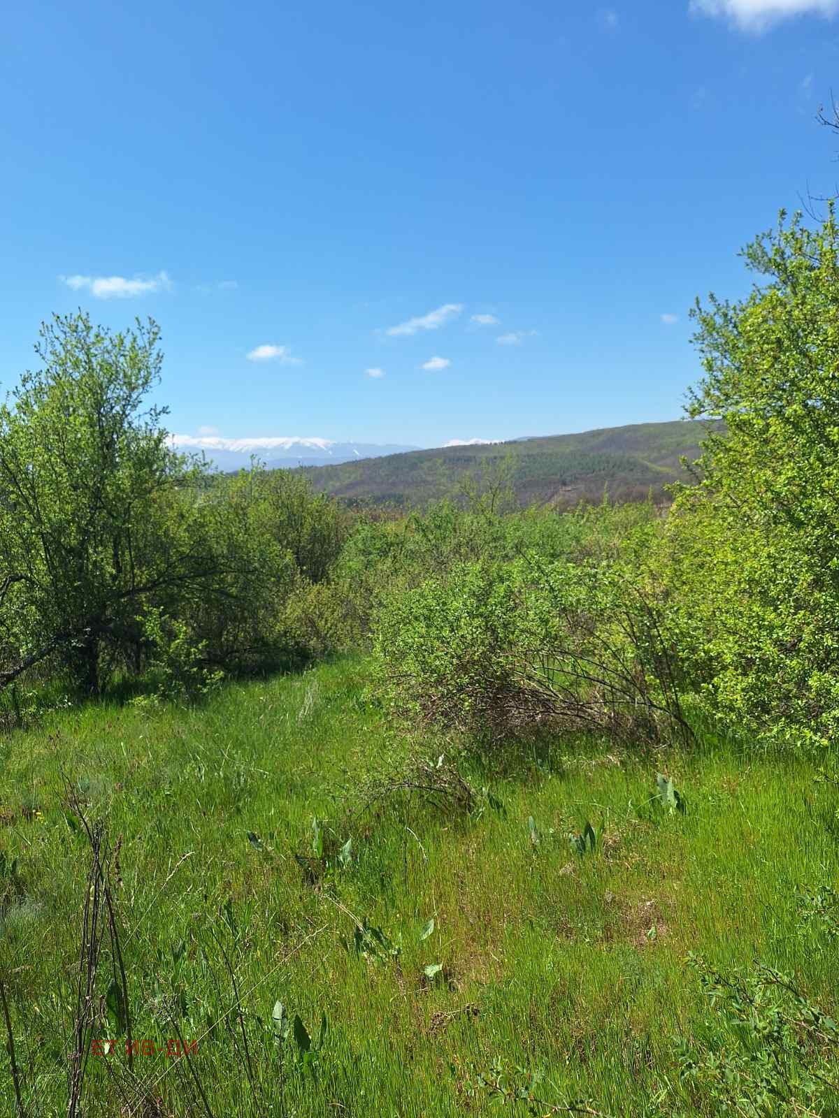 ������� ������ | Imot.bg � ����������� 1