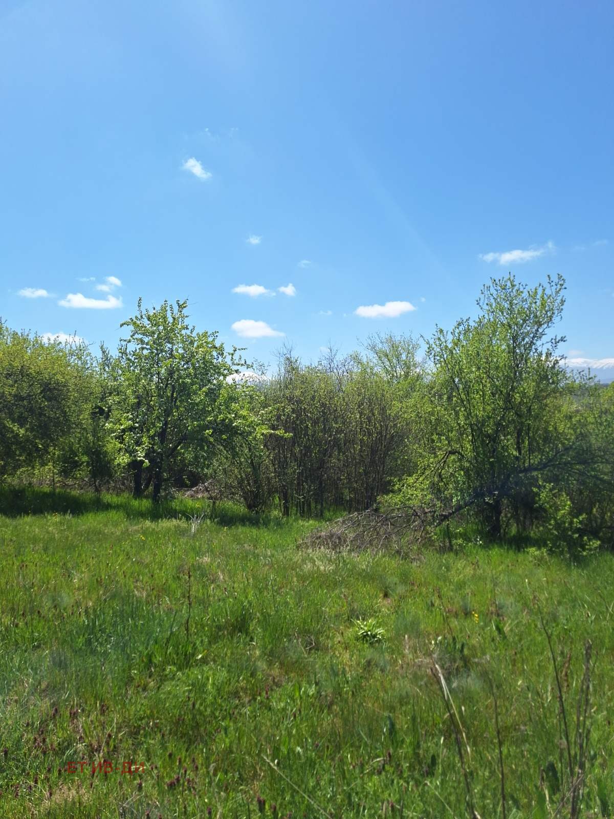 ������� ������ | Imot.bg � ����������� 4