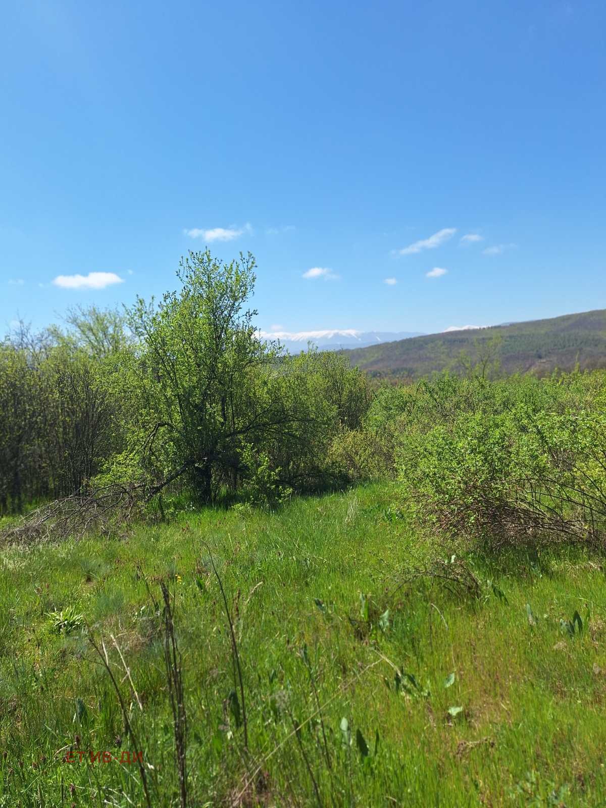 ������� ������ | Imot.bg � ����������� 2