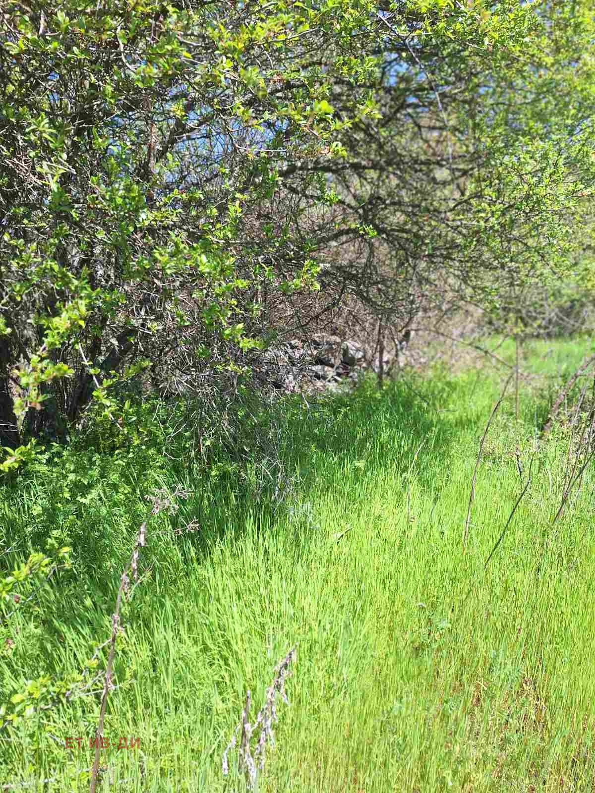 ������� ������ | Imot.bg � ����������� 3