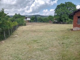   ,  , . 