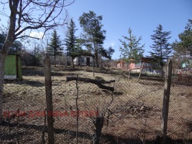 ������� ������ | Imot.bg � ����� ������ 6