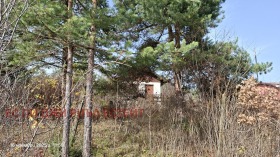 ������� ������ | Imot.bg � ����� ������ 13