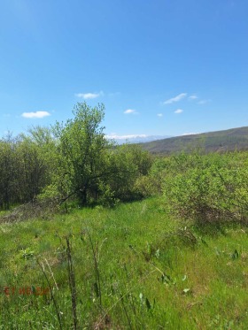 ������� ������ | Imot.bg � ����� ������ 2