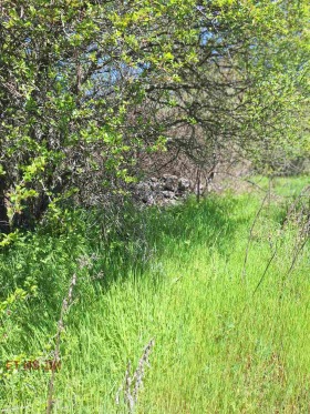 ������� ������ | Imot.bg � ����� ������ 3