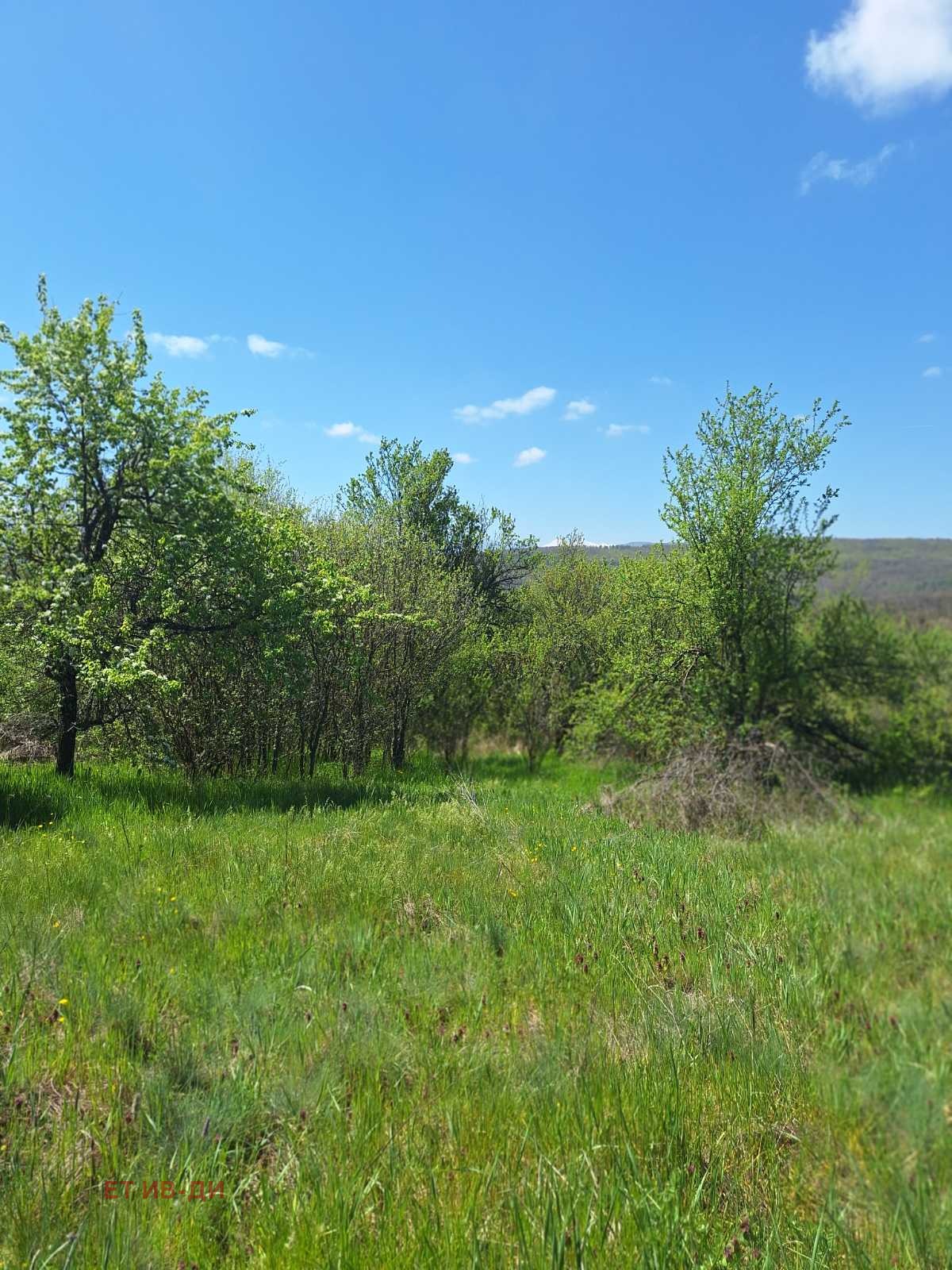 Продава ПАРЦЕЛ, с. Очуша, област София област, снимка 5 - Парцели - 54346128