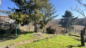 ����� ������� ����,�. ��������, ������ ����