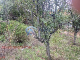 ������� ���� | Imot.bg � ����� ������ 8