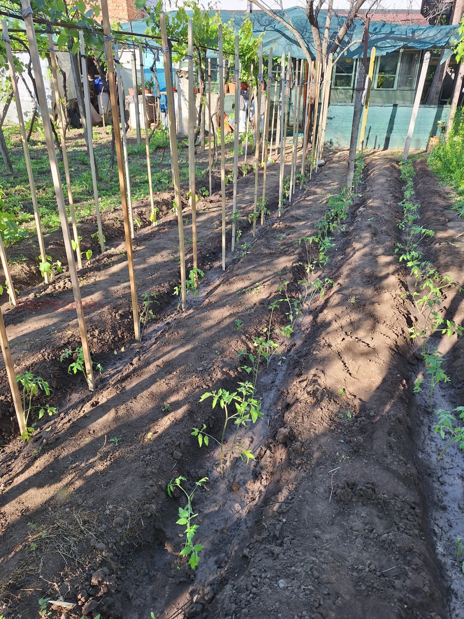 Продава КЪЩА, гр. Дунавци, област Видин, снимка 4 - Къщи - 54066167