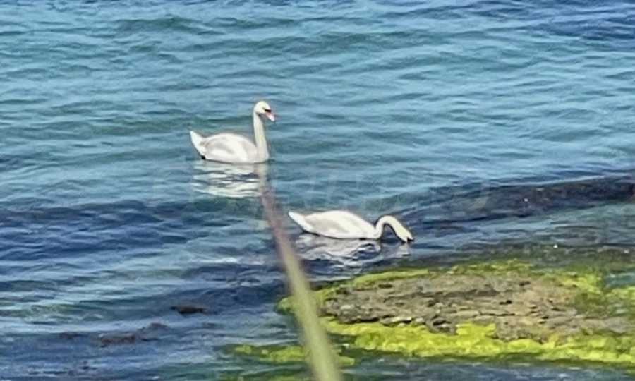 Продава 2-СТАЕН | Imot.bg — изображение 9